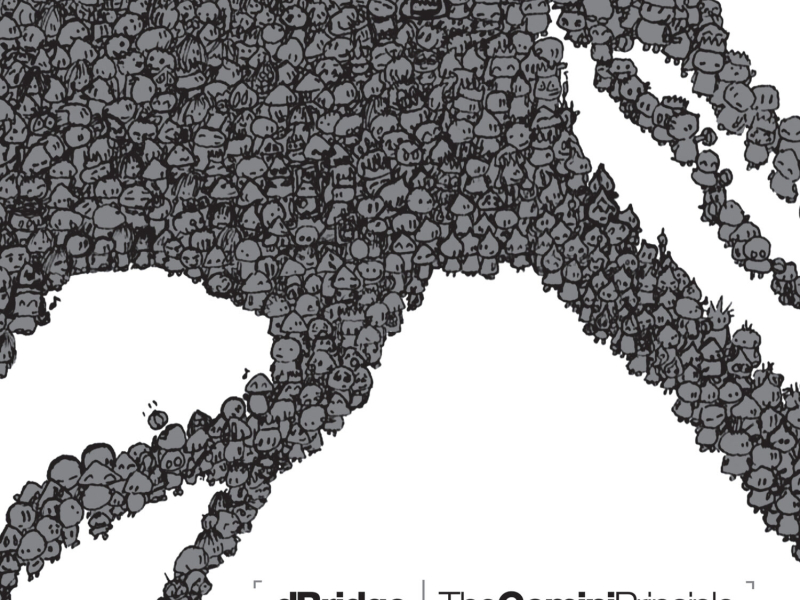 The Gemini Principle