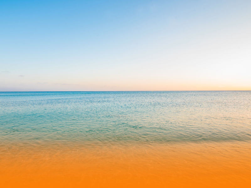 Relaxing Healing Music With Nature Sounds For Anxiety Relief And Mind-Body Restoration (Single)