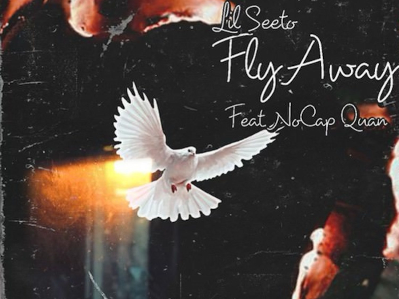 Fly Away (feat. NoCap Quan) (Single)