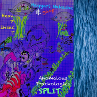 Anomalous Trackologies Split