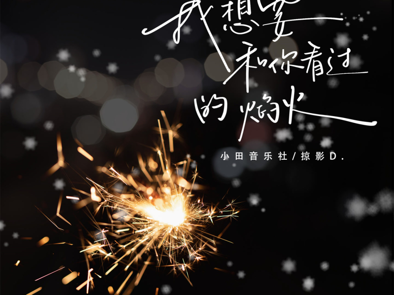 我想要和你看过的焰火 (Single)