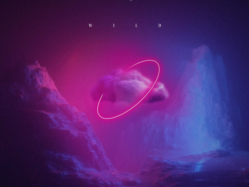 Wild (Single)