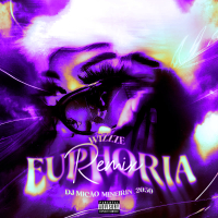 Euphoria (Remix) (Single)