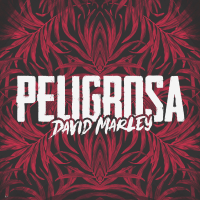 Peligrosa (Single)