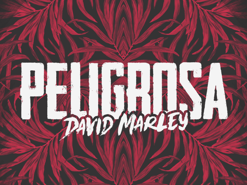 Peligrosa (Single)