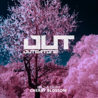 Cherry Blossom (Single)