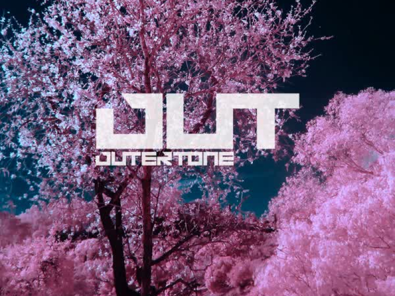 Cherry Blossom (Single)