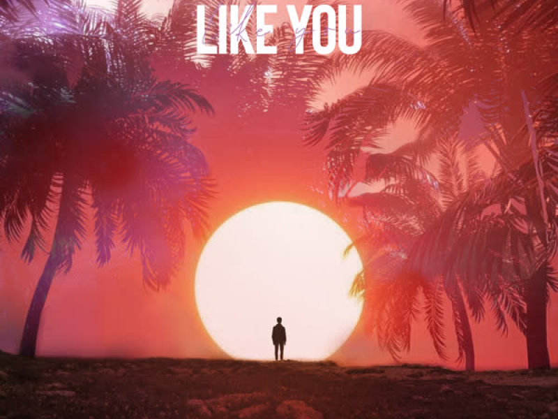 Like You (Single)