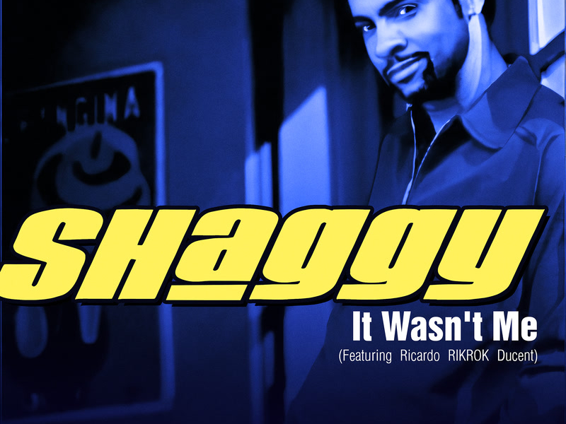 It Wasn't Me (Sped Up) (Single)