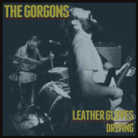 Leather Gloves (Single)