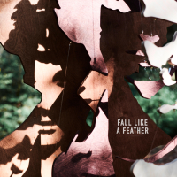 Fall Like a Feather (Single)