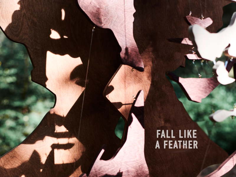 Fall Like a Feather (Single)