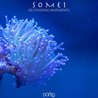 Deciphering Movements (EP)