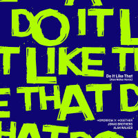 Do It Like That (Alan Walker Remix) (Single)