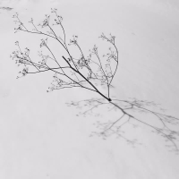 Little Ship (Single)