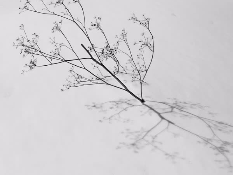 Little Ship (Single)