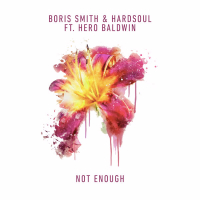 Not Enough (feat. Hero Baldwin) (Single)