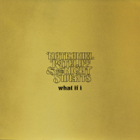 What If I (Cook Brothers Version) (Single)
