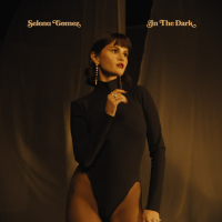 In The Dark (From the Netflix Series 