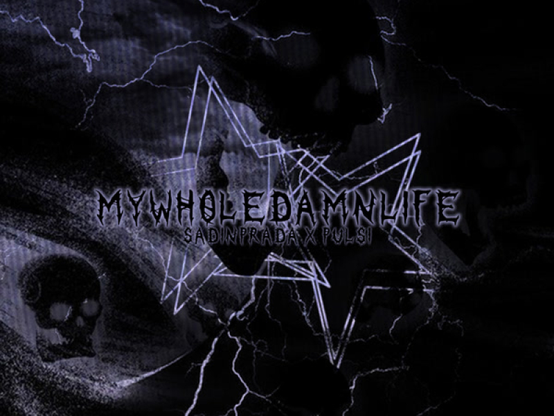 MYWHOLEDAMNLIFE (Single)