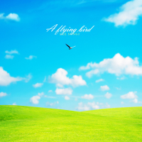 A flying bird (Single)