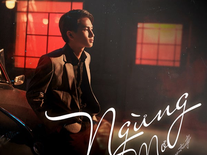 Ngừng Mơ (Single)