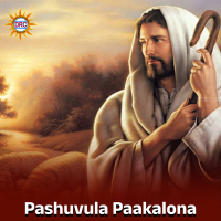 Pashuvula Paakalona (Single)