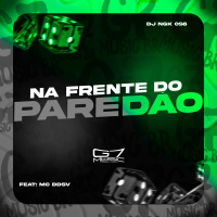 Na Frente Do Paredão (Single)