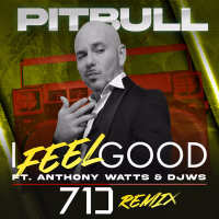 I Feel Good (71 Digits Remix) (Single)