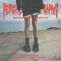 PERCHÉ NON TI CAPIVO (Single)