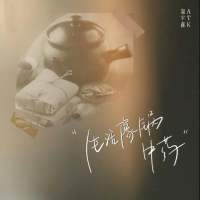 生活像锅中药 (Single)