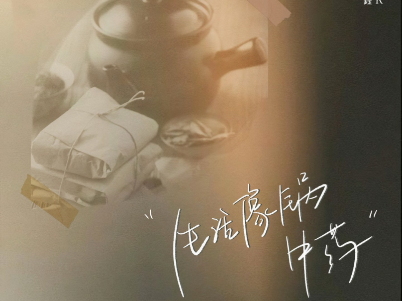 生活像锅中药 (Single)