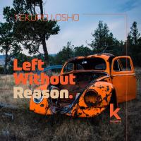 Left Without Reason (Single)