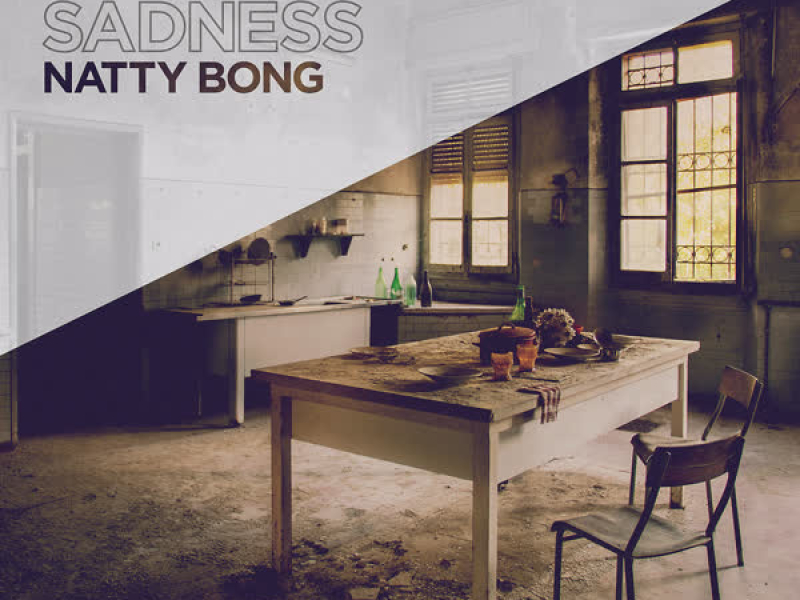 Summertime Sadness (G-Spliff Remix) (Single)