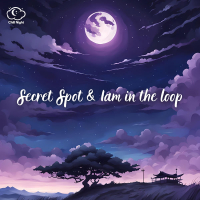 Nocturnal peace (Single)