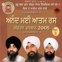 Anandmayi Aatamras Keertan Darbar 2005 (Part-3)
