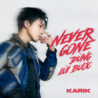 Never Gone (Đừng Lùi Bước) (Single)