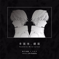 Polyhedron, Mirror surface (Single)