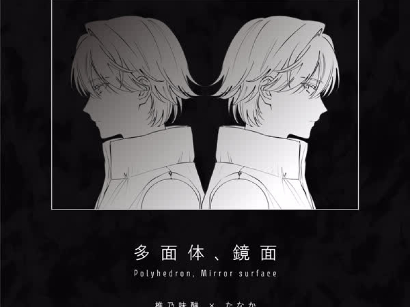Polyhedron, Mirror surface (Single)