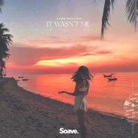 It Wasn't Me (Single)