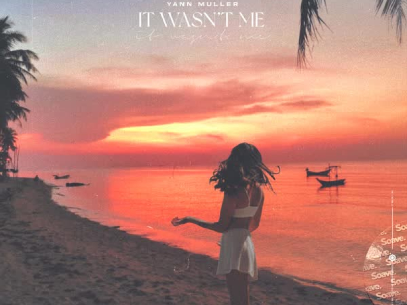 It Wasn't Me (Single)