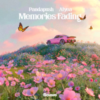 Memories Fading (Single)