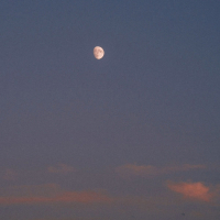 pictures on the wall (Single)