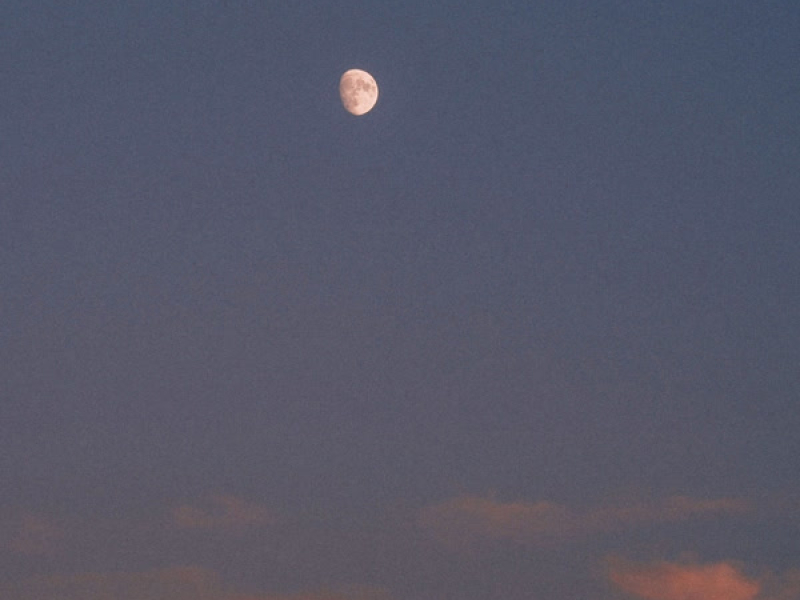 pictures on the wall (Single)