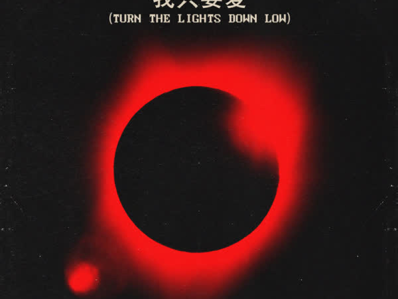 Turn the Lights Down Low (Chinese Version) (Single)