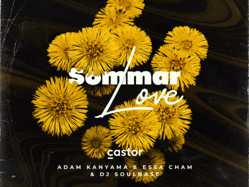 Sommar Love (Single)