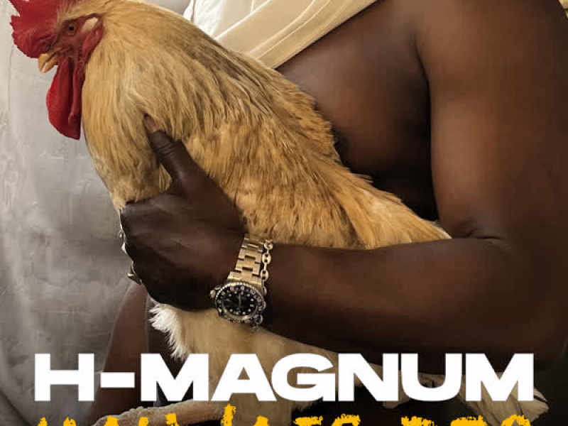 Mauvais djo (Single)