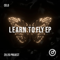 Learn to Fly (Single)