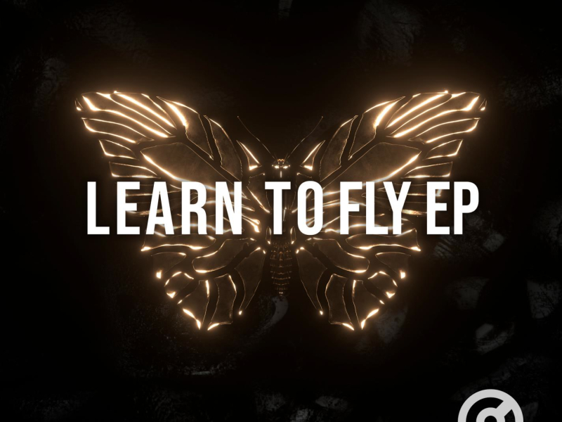 Learn to Fly (Single)