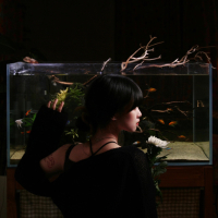 Ordinary citizen (Single)